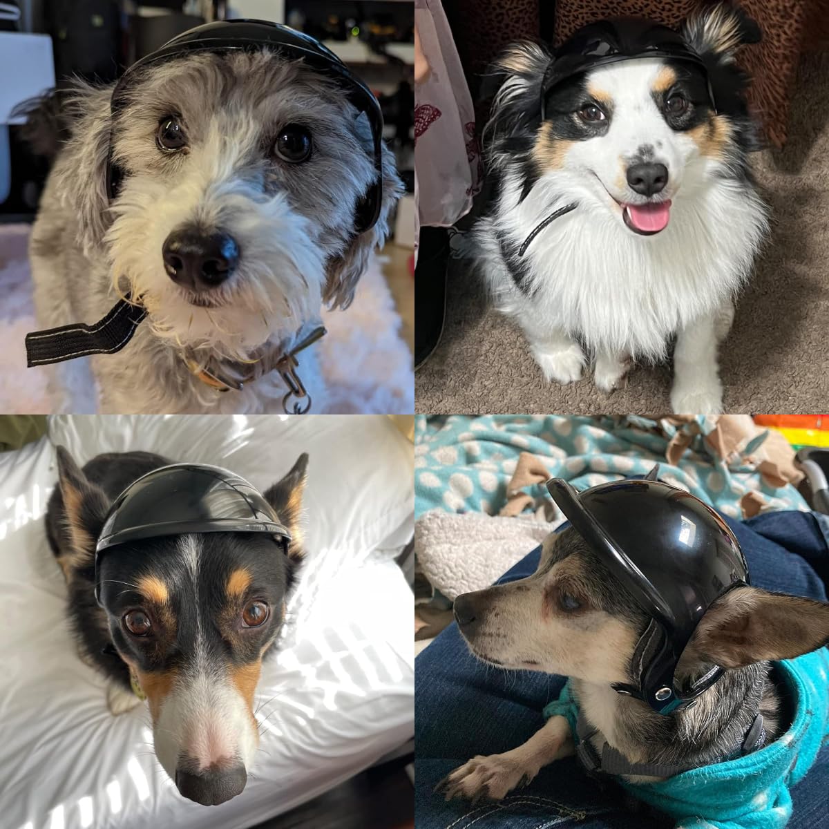 Lesypet casco con orificios para orejas facilita la ventilación durante salidas al aire libre