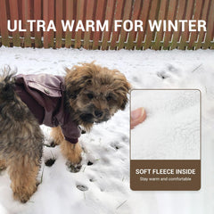 Lesypet chaqueta impermeable para salidas al exterior, manteniendo al perro abrigado.