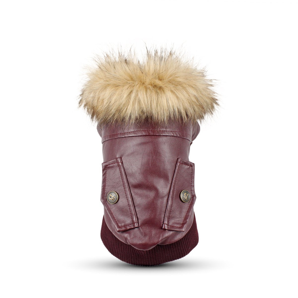 La chaqueta LESYPET para perro pequeño: cómodo y seguro para paseos fríos.