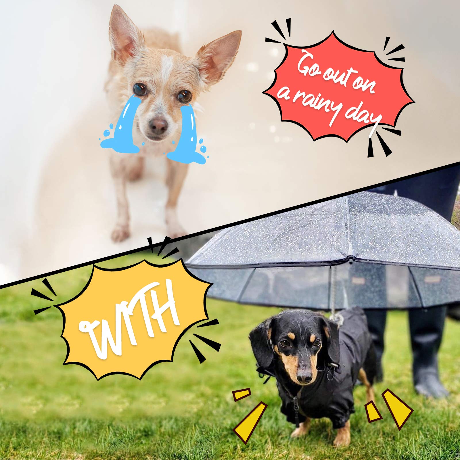 LESYPET paraguas para perro pequeño en lluvia: mantiene al perro seco y cómodo.