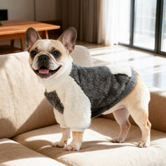 LESYPET sudadera gris para perro, detalle acolchado para mayor suavidad