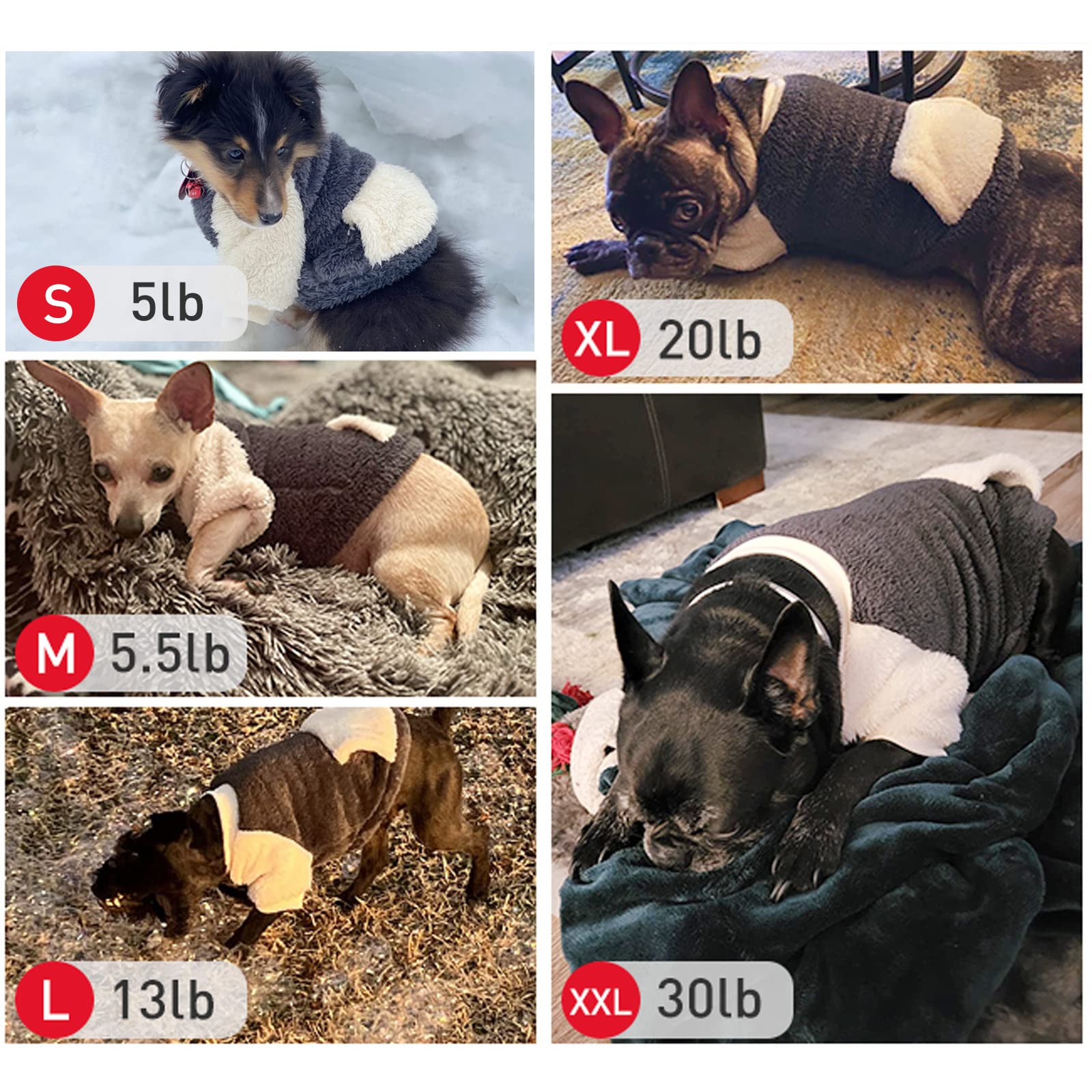 LESYPET sudadera gris para perro dorso, diseño cómodo para salidas diarias