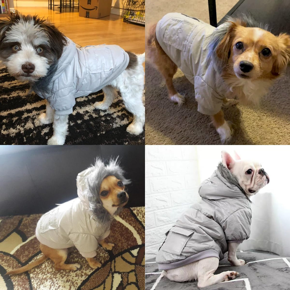 Lesypet exterior de tela impermeable, mantiene al perro seco.