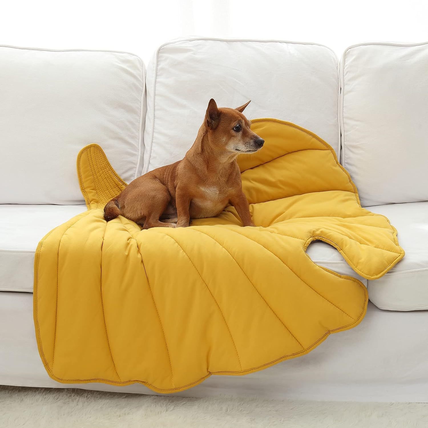 Letalong manta para perros con diseño en hoja que añade estilo y confort