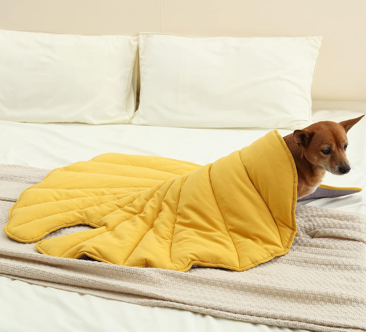 Letalong manta perro multifuncional funciona como cama suave y colchoneta