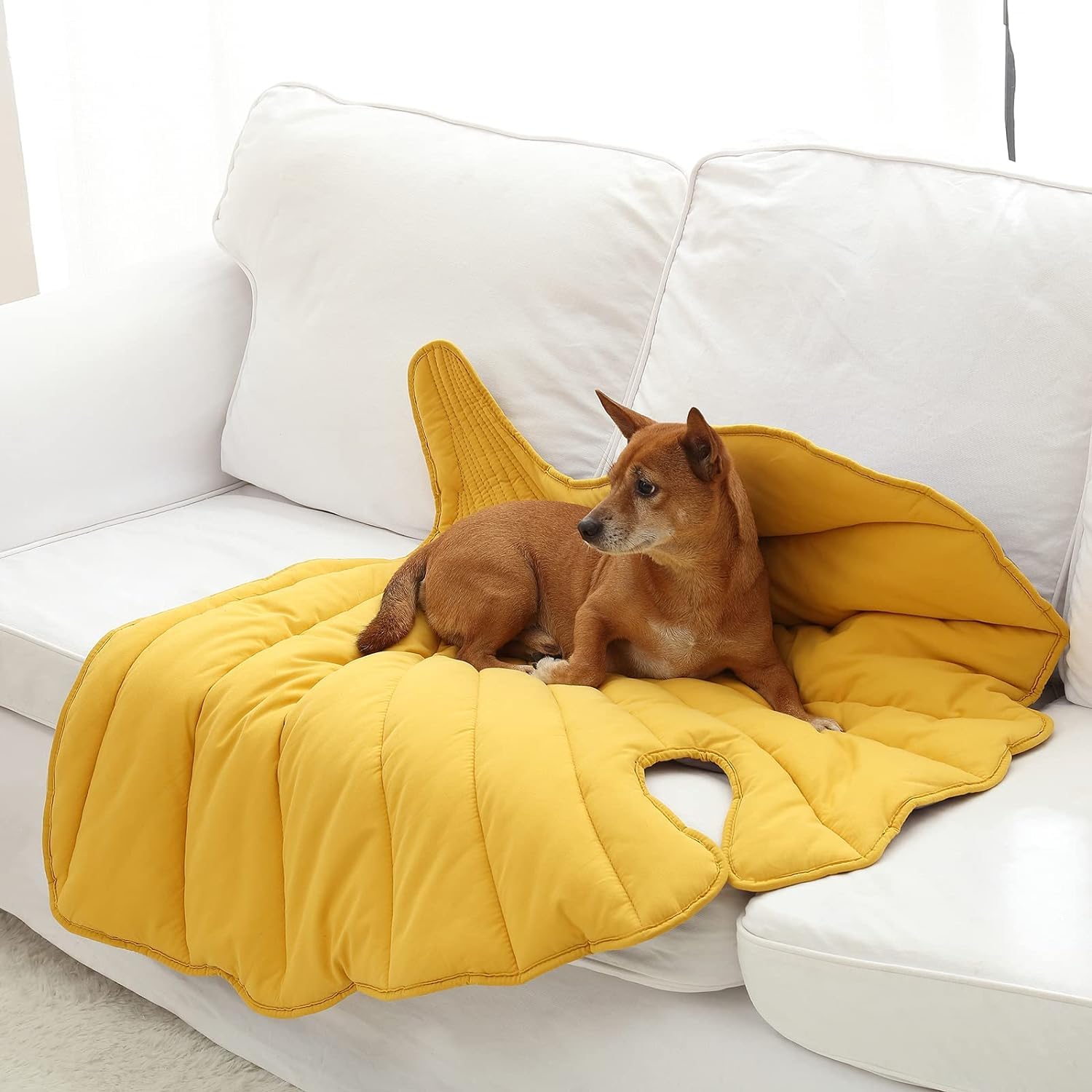 Letalong manta para perros tacto suave para mayor comodidad diaria
