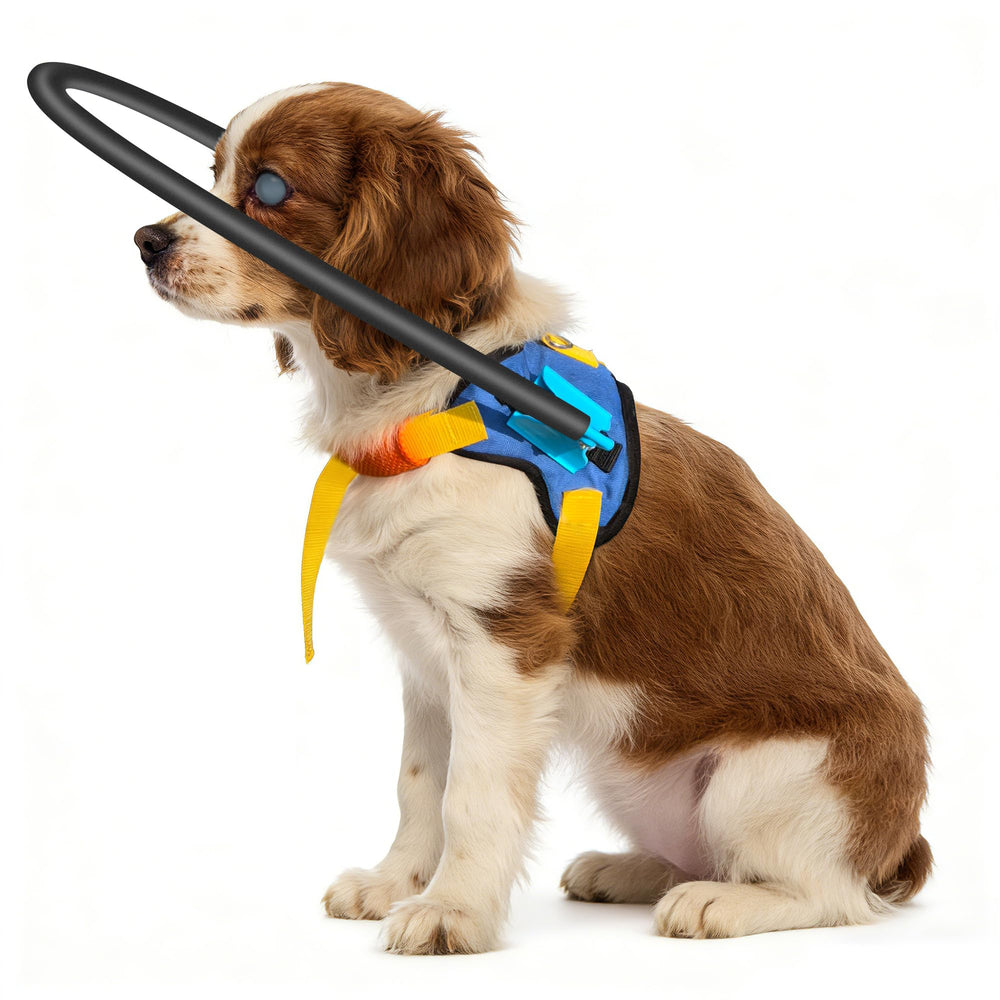 LetPetRun arnés halo para perros ciegos desvía obstáculos durante paseos