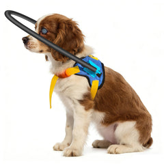 LetPetRun arnés halo para perros ciegos desvía obstáculos durante paseos