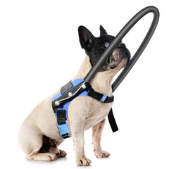 LetPetRun Halo arnés guía perro ciego, vista frontal, ofrece guía segura
