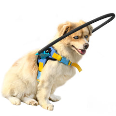 LetPetRun Halo arnés protector para perro ciego, talla XXS en negro.