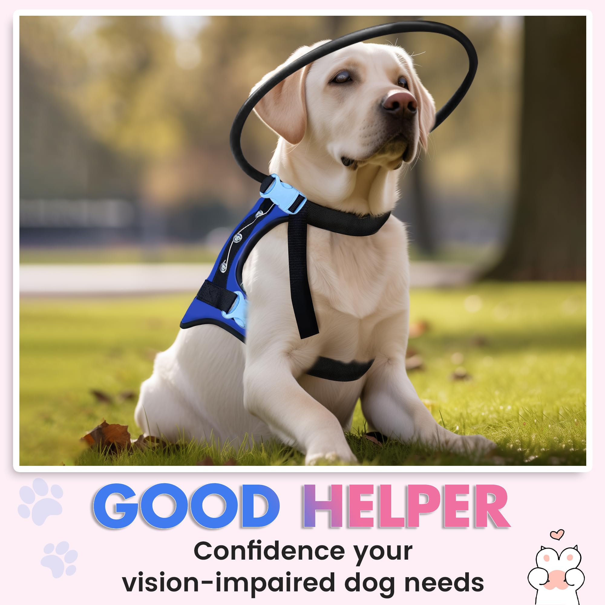 LetPetRun Mascota caminando con guía diaria, ofrece confianza y seguridad