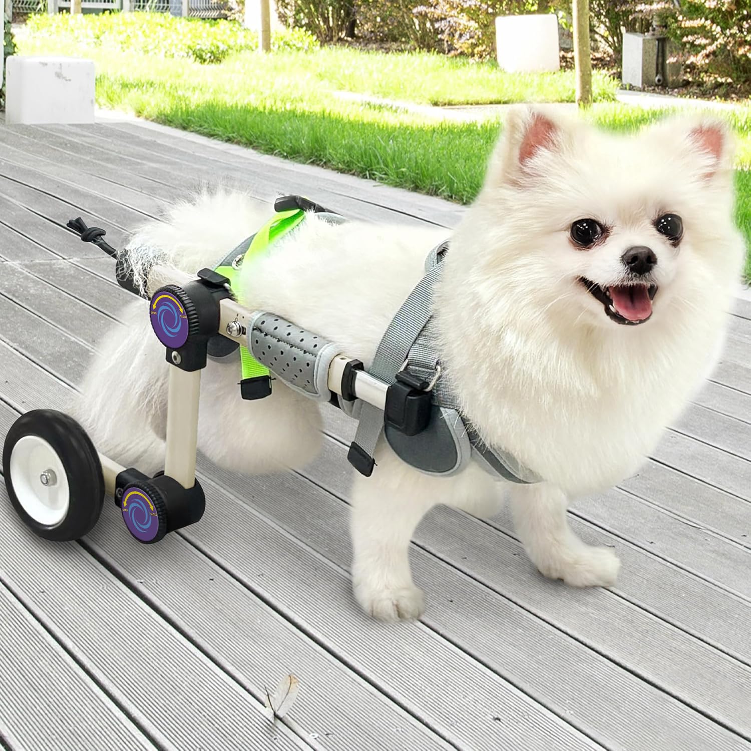 LetPetRun silla de ruedas para perro traseras ajustable para mayor comodidad