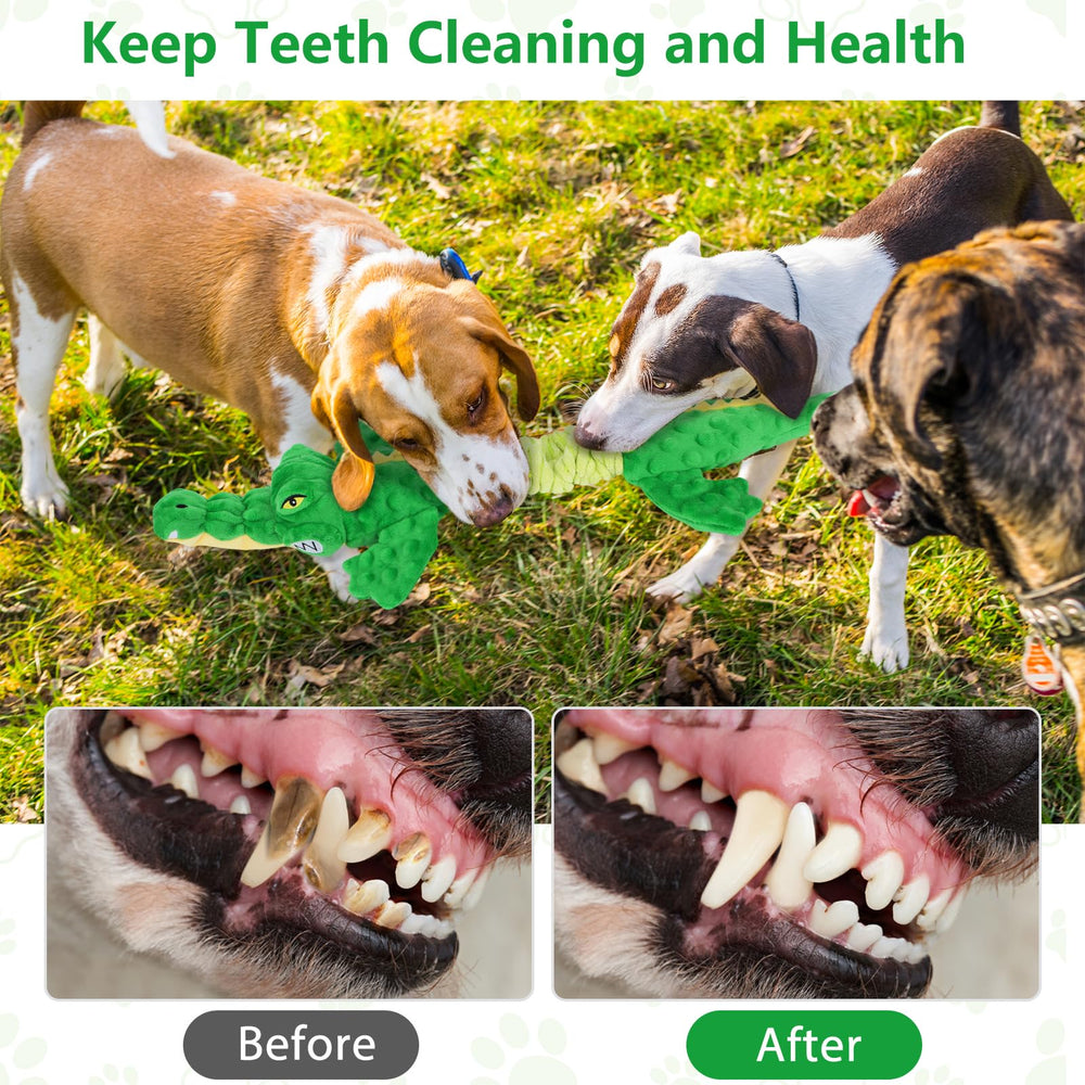 Letsmeet aligator cuidado dental fomenta hábitos de masticación seguros