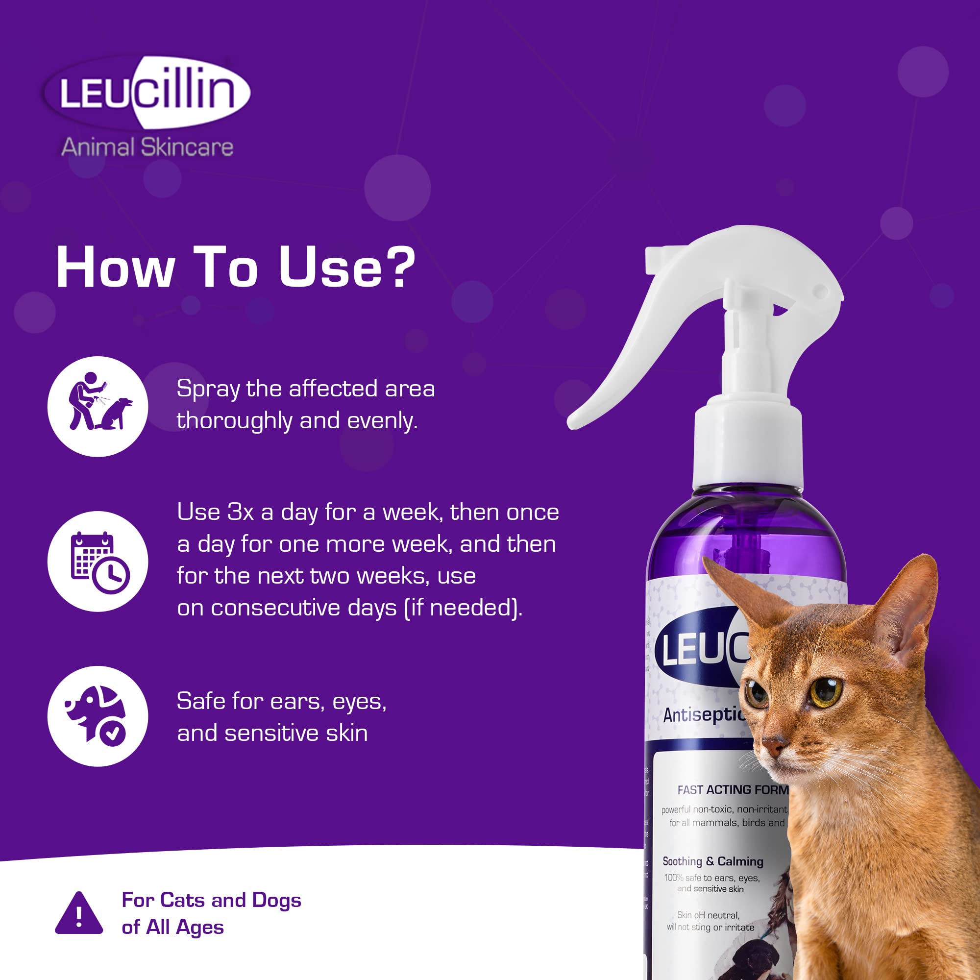 Leucillin aplicación sin ardor perro, seguro si se lame o ingiere.
