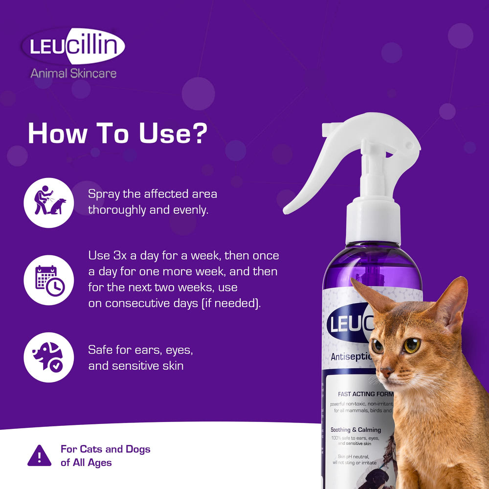 Leucillin aplicación sin ardor perro, seguro si se lame o ingiere.