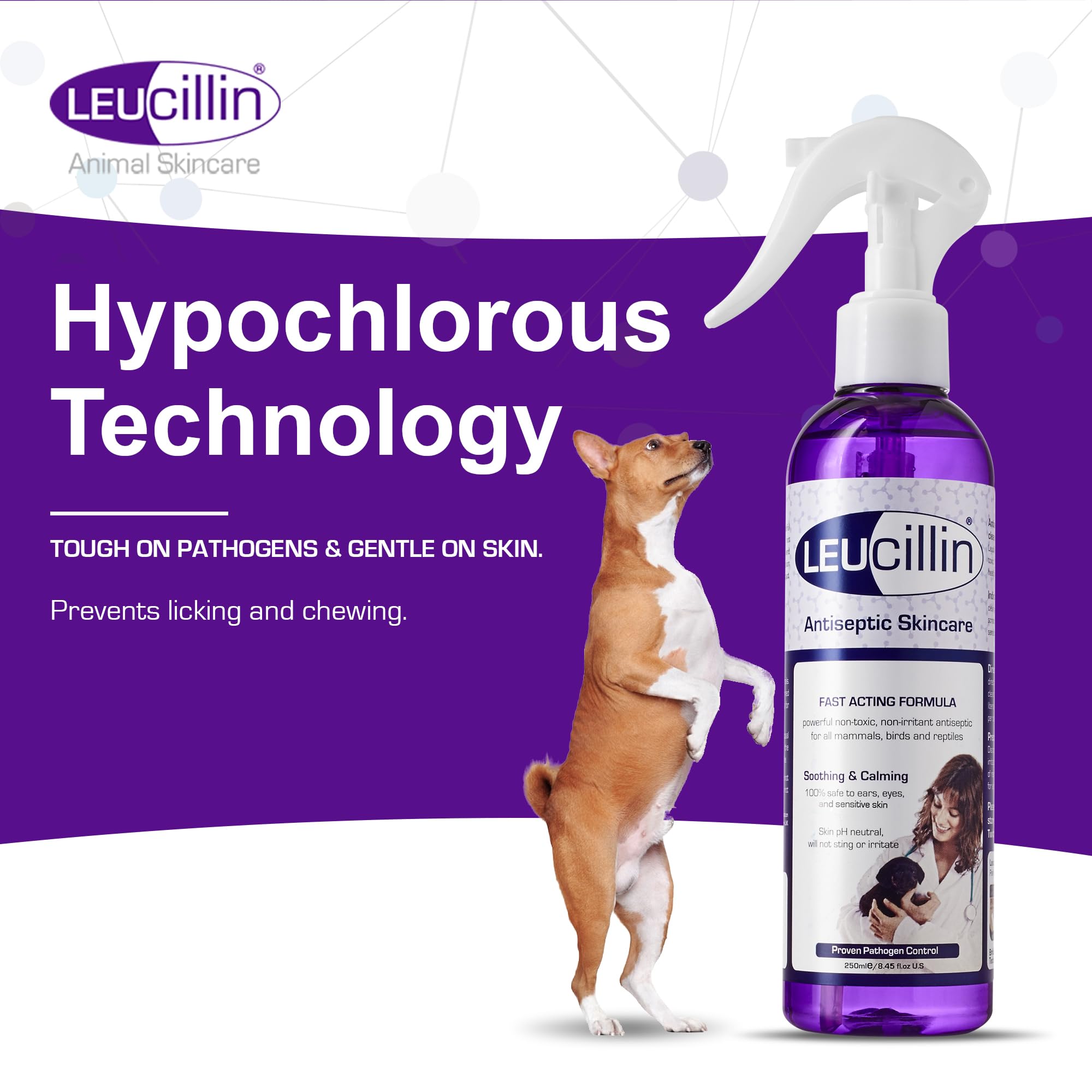 Leucillin herida pequeña perro, limpieza suave y segura.