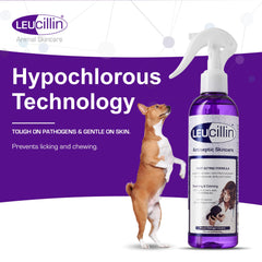 Leucillin herida pequeña perro, limpieza suave y segura.