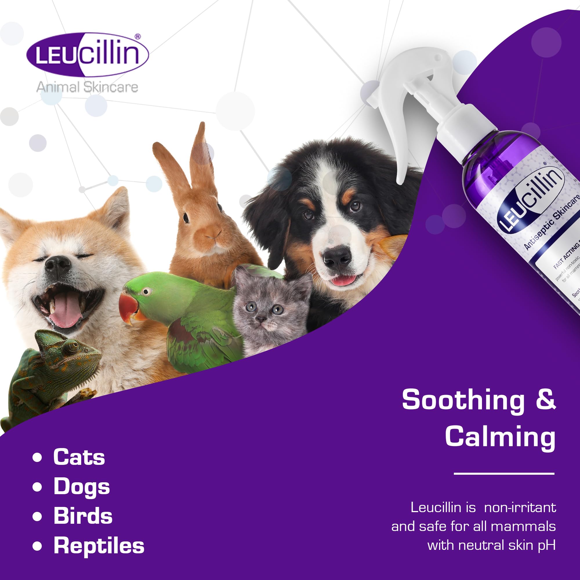 Leucillin zonas calientes perro, limpia y mantiene higiene de la piel.
