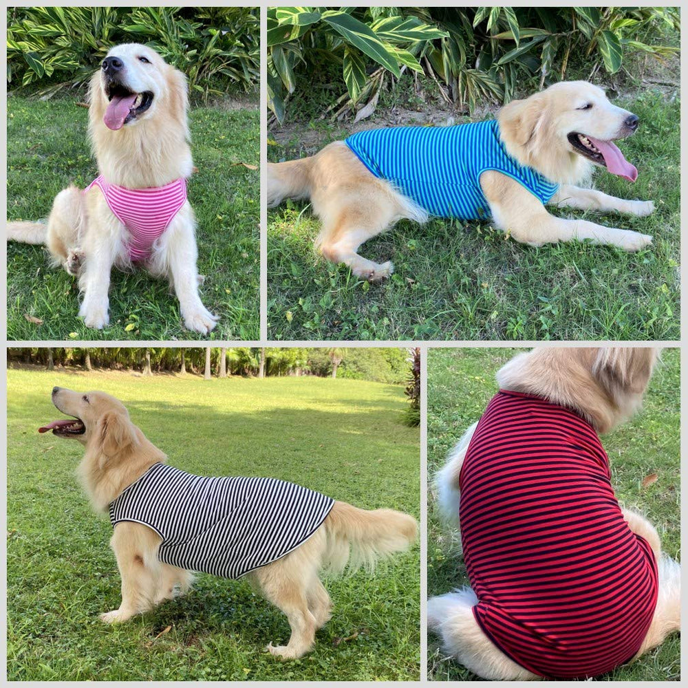 LEVIBASIC camiseta para perros, diseño de cuello amplio y fácil de poner.