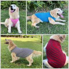LEVIBASIC camiseta para perros, diseño de cuello amplio y fácil de poner.