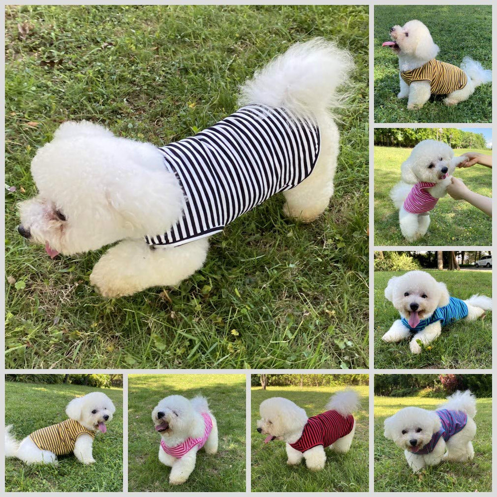 LEVIBASIC camiseta diaria para perros, protege la piel en uso diario.
