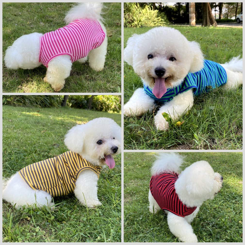 Conjunto de dos camisetas LEVIBASIC para perros con rayas, uso diario.