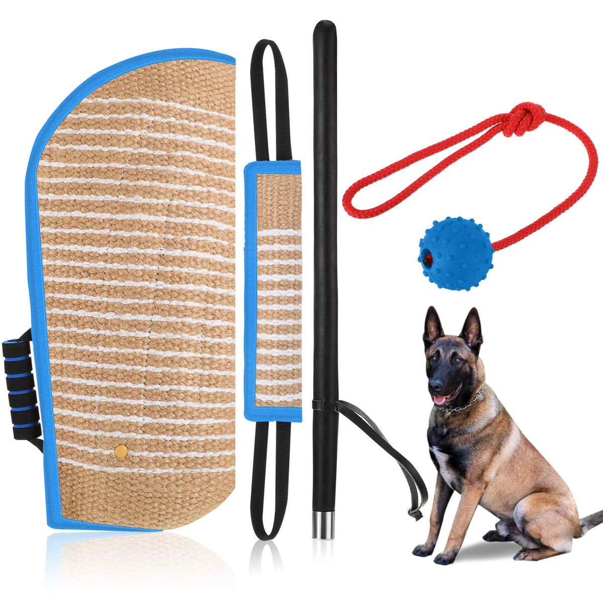 Leyndo manga de entrenamiento para perros con doble asa, control seguro durante la sesión.