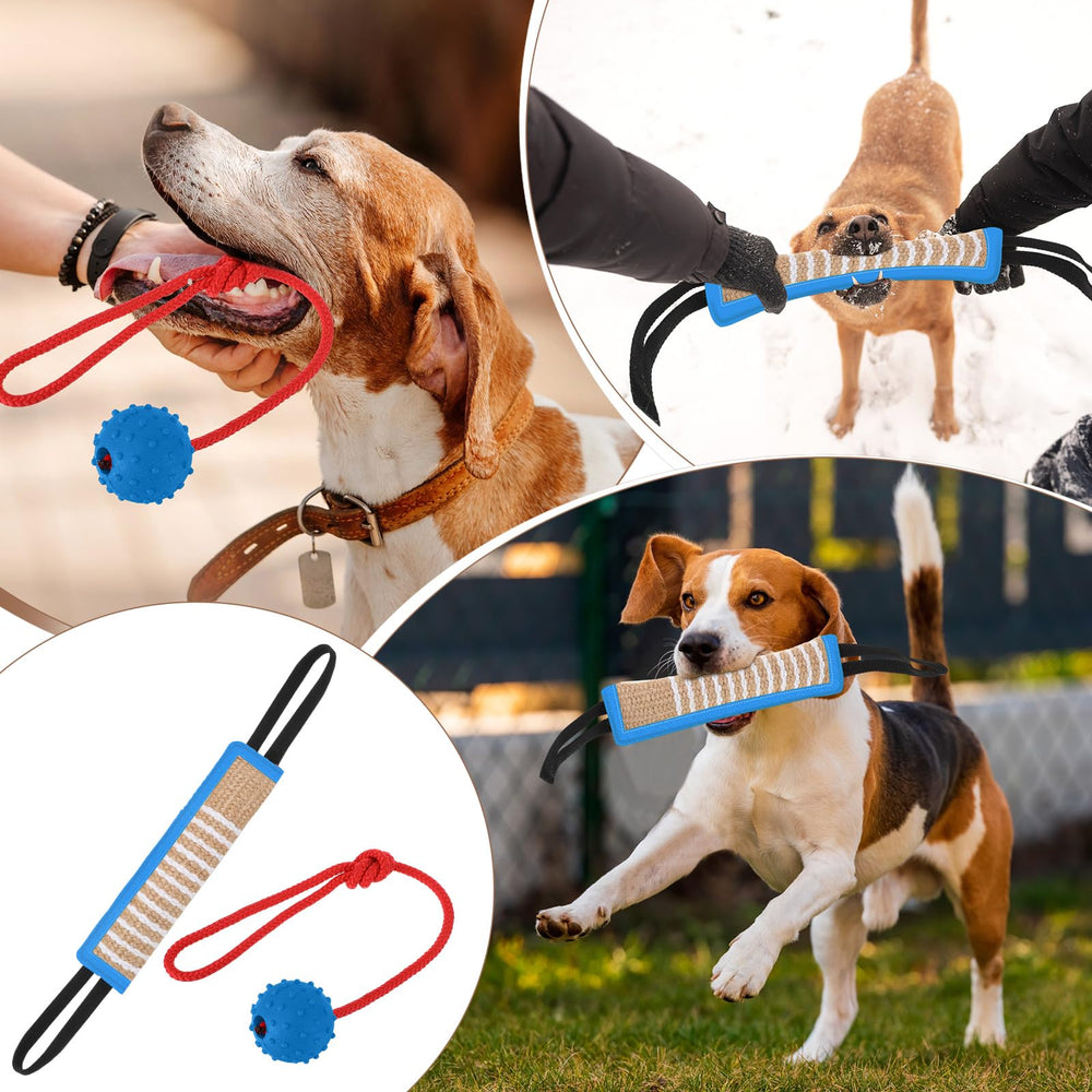 Leyndo conjunto entrenamiento canino, apto para cachorros y perros grandes.