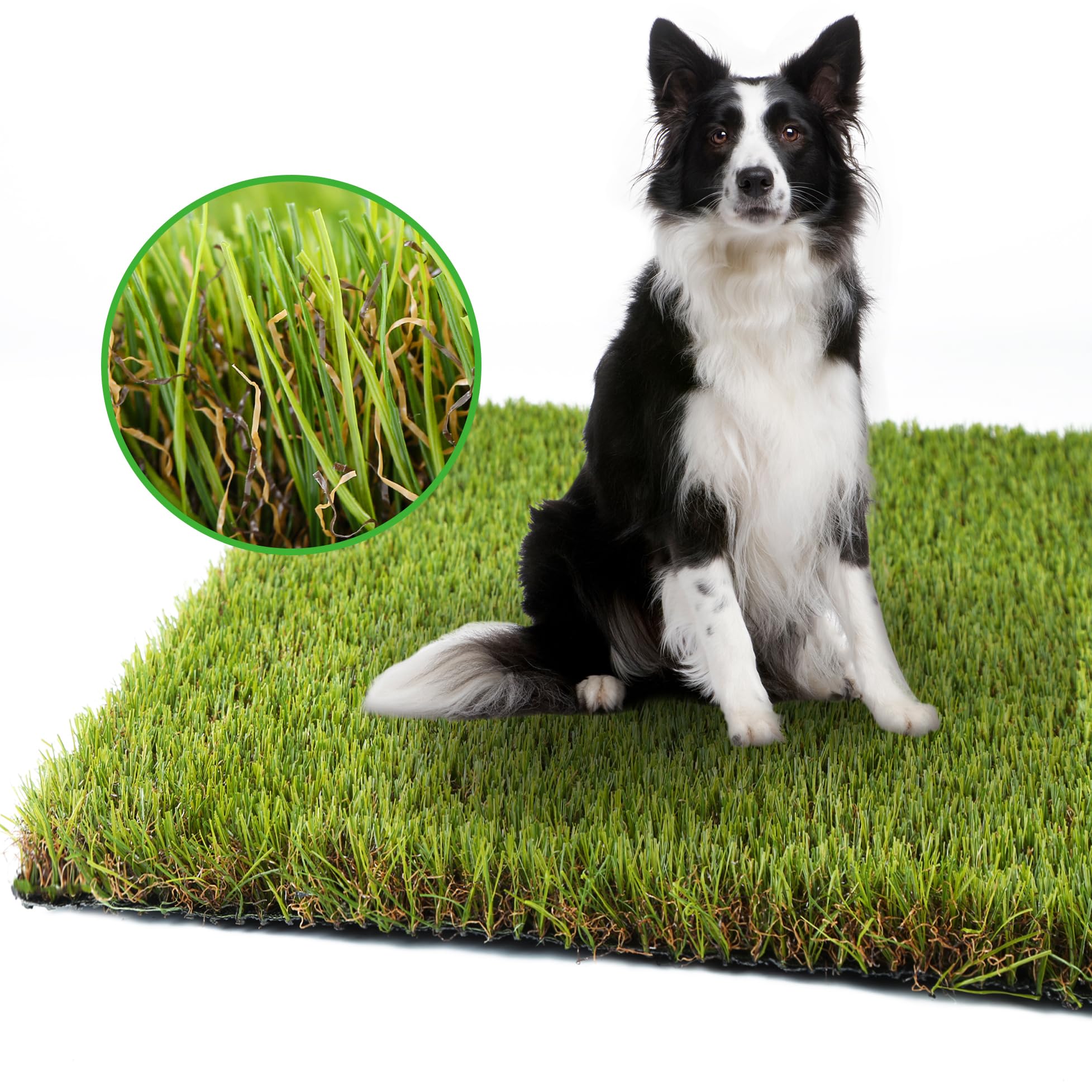 LGR SHINE césped artificial para perros 4x6 pies, ideal para entrenamiento en casa.