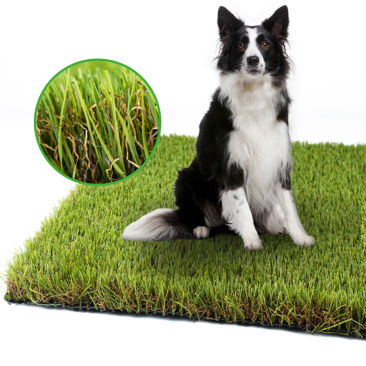 LGR SHINE césped artificial para perros 4x6 pies, ideal para entrenamiento en casa.