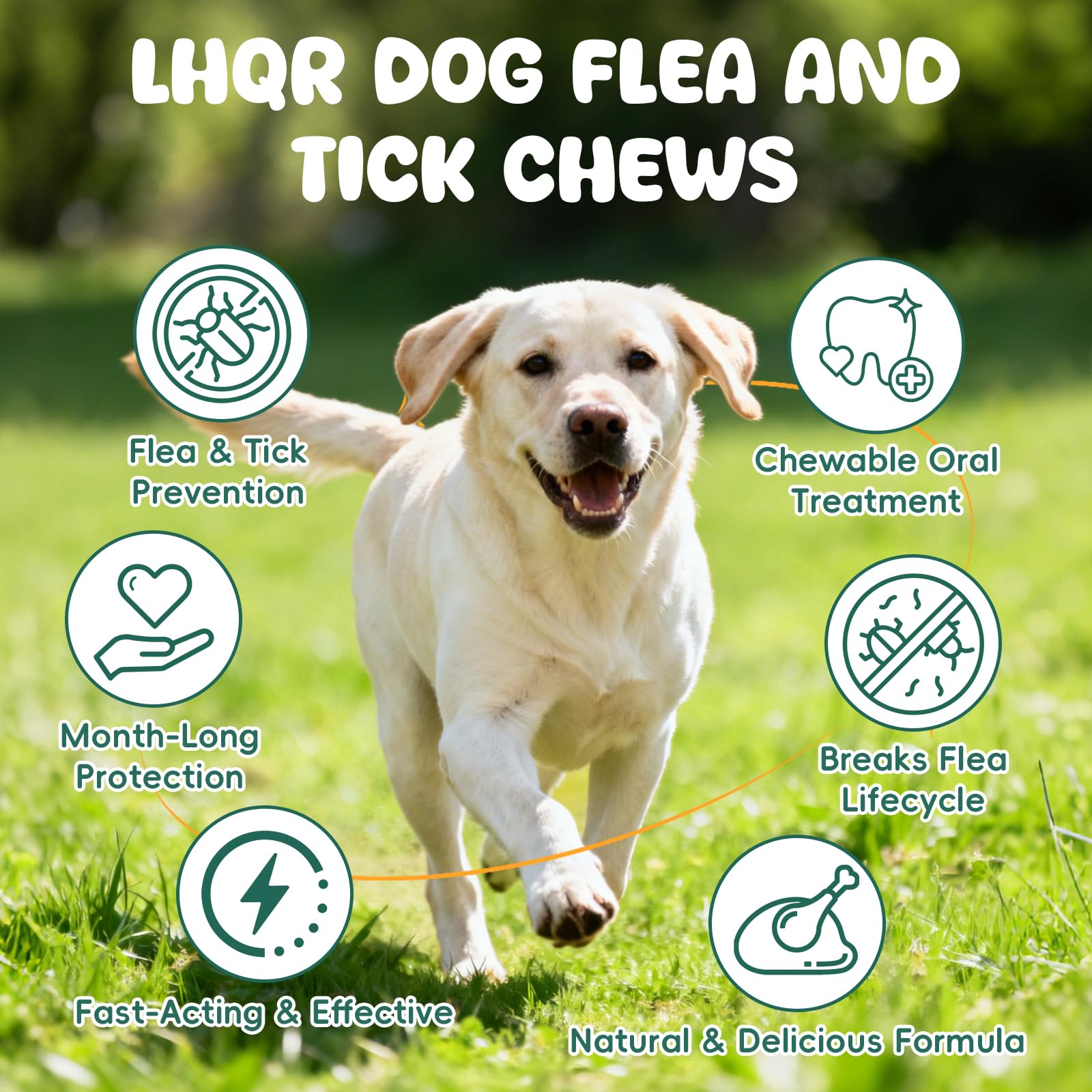 LHQR ingrediente natural extracto neem y aceite de linaza