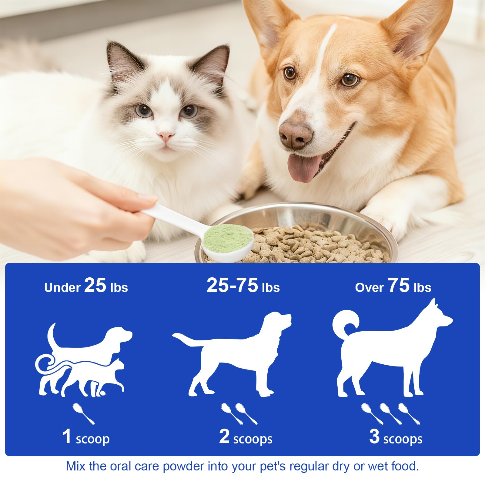 LHQR polvo dental para perros con ingredientes naturales de alta calidad.