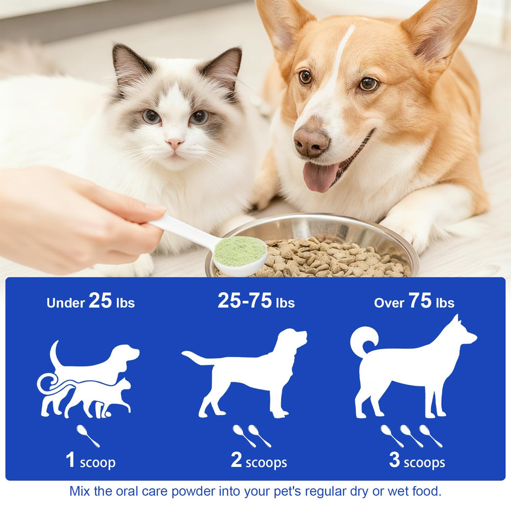 LHQR polvo dental para perros con ingredientes naturales de alta calidad.