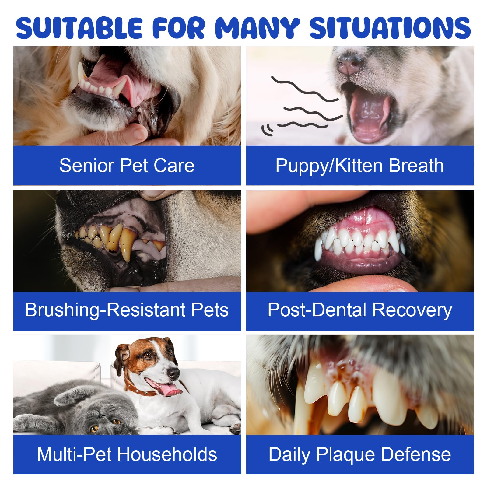 LHQR polvo dental para perros ayuda a controlar la placa y el sarro.