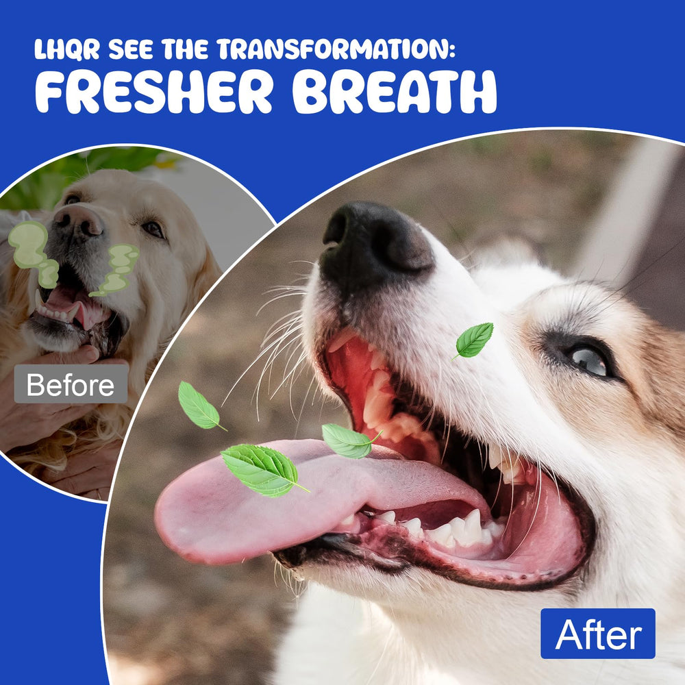 LHQR polvo dental para perros sin trigo ni soja para mascotas sensibles.