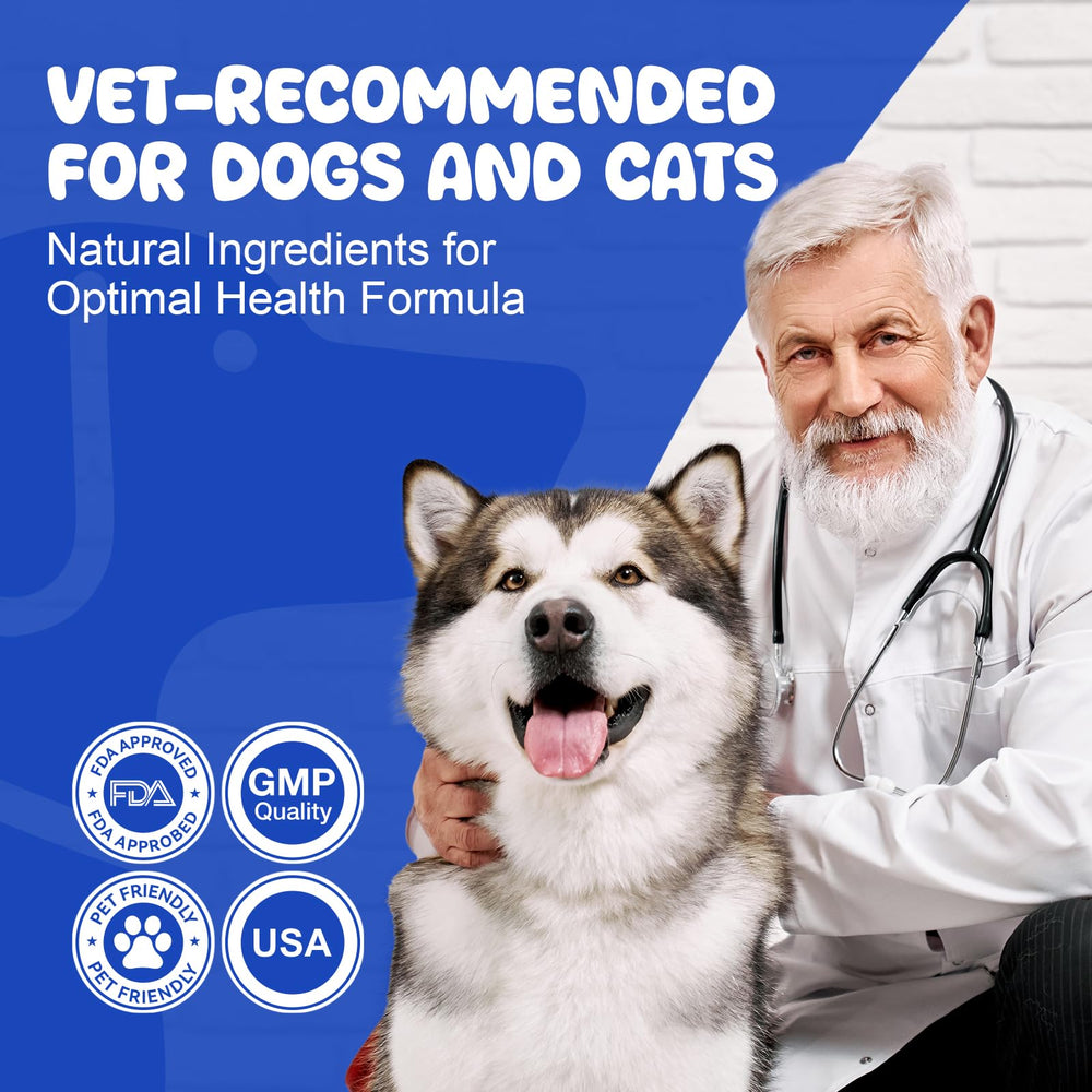 LHQR polvo dental para perros para uso diario seguro y práctico.
