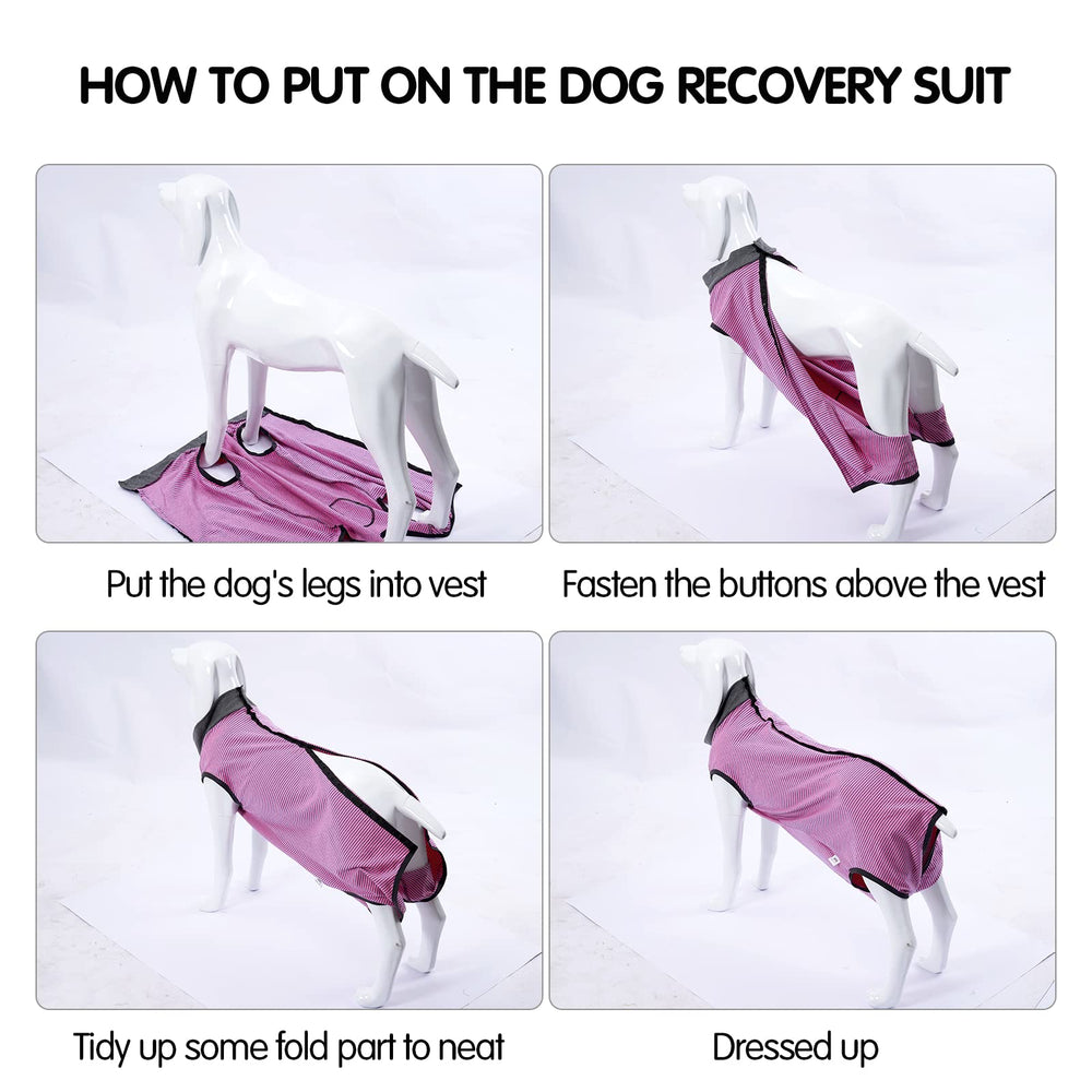 LIANZIMAU traje recuperación para perro ecollar alternativa: evita lamidas sin cono completo.