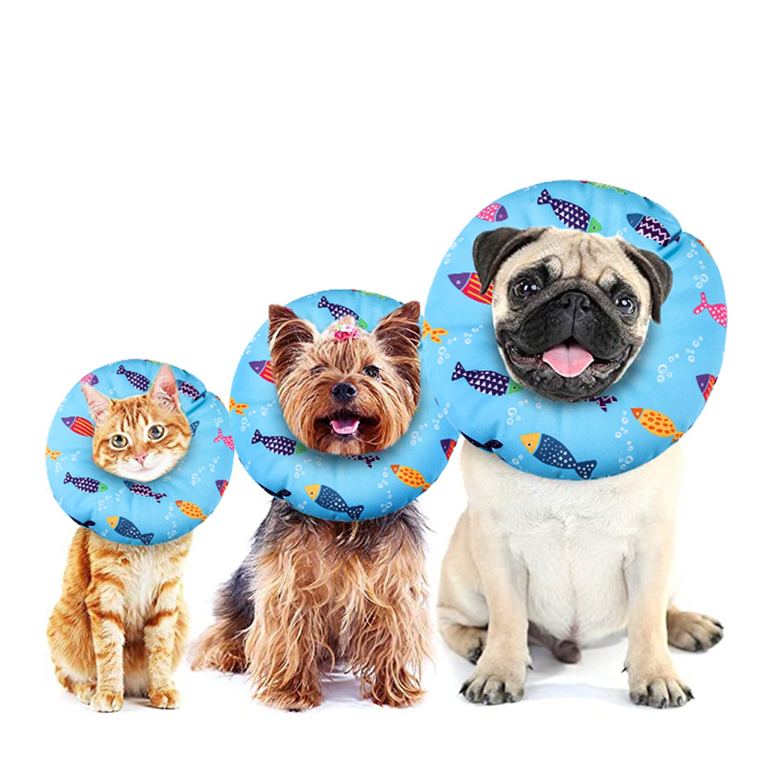 Collar libfrnt para uso diario facilita recuperación y permite juego suave.