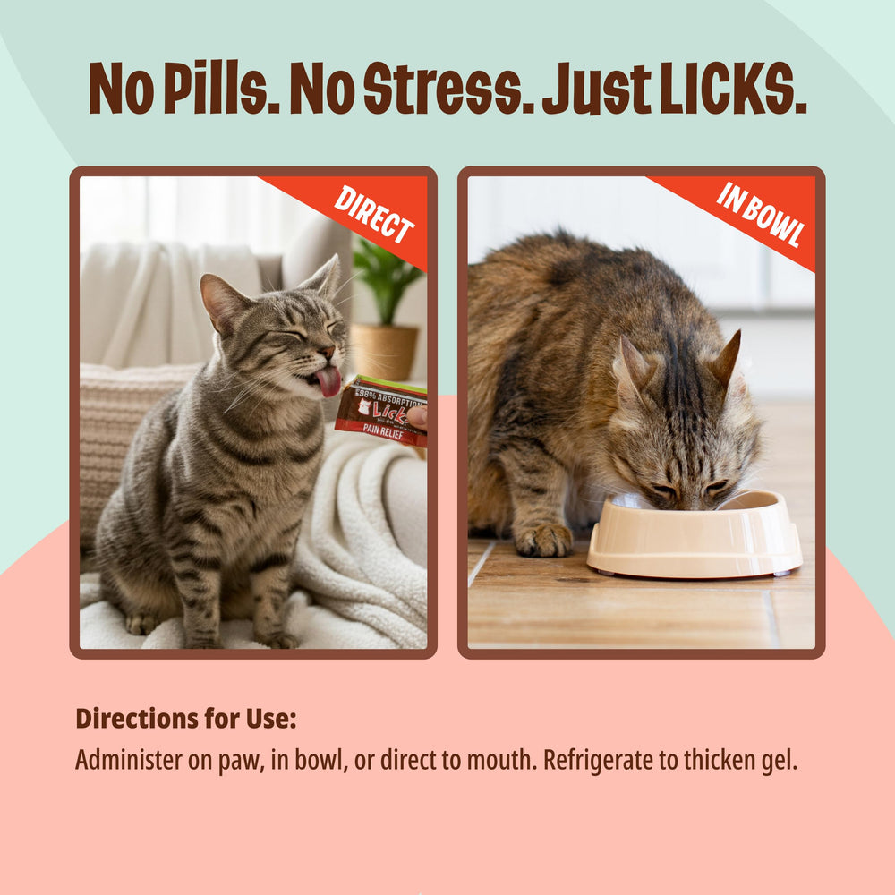 Licks Pill Free: gel refrigerado para mayor consistencia