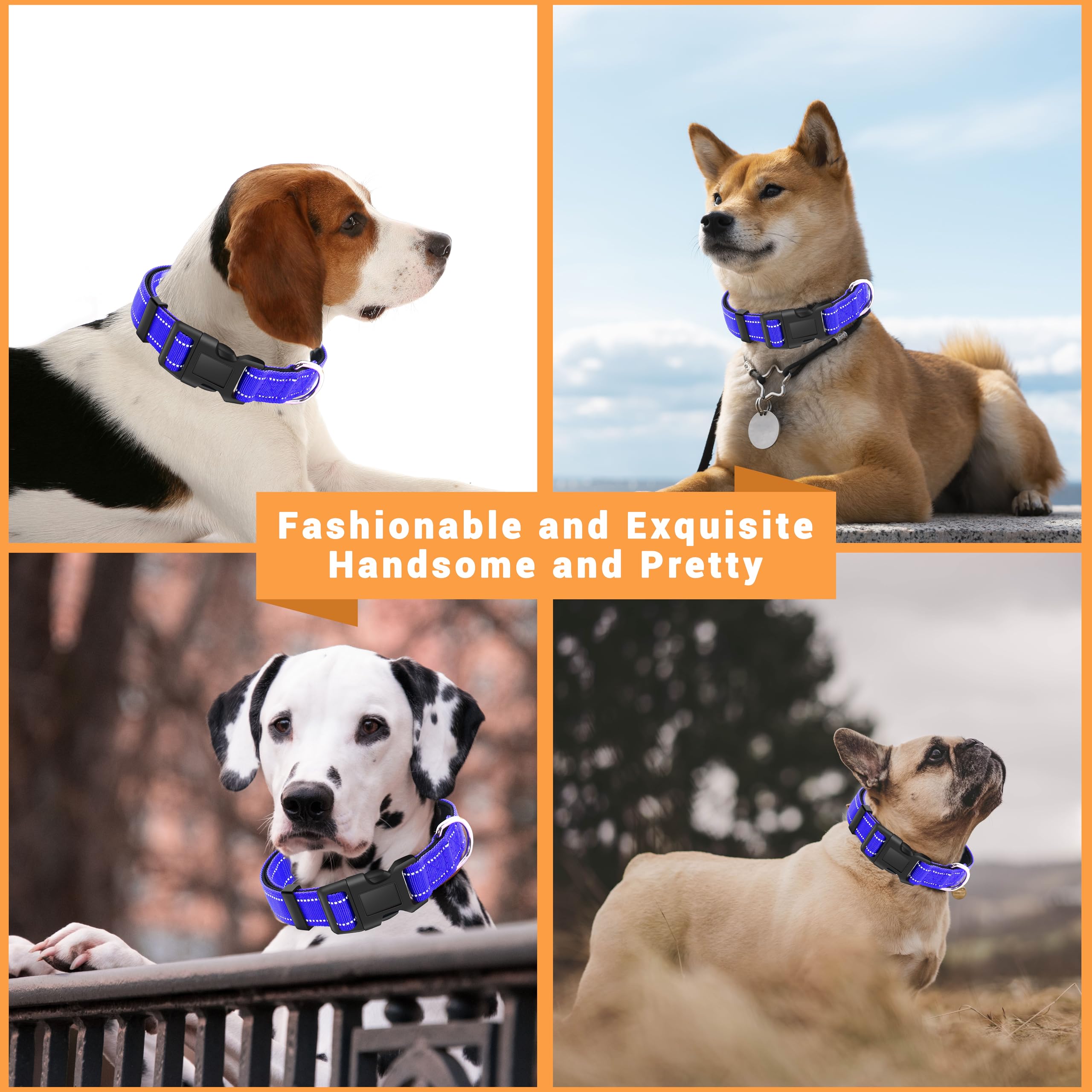 Collar azul marino LIEVUIKEN, apto para perros de todos los tamaños