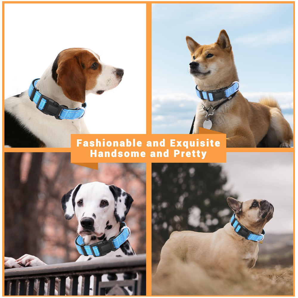 LIEVUIKEN collar ajustable para perros de todos los tamaños.