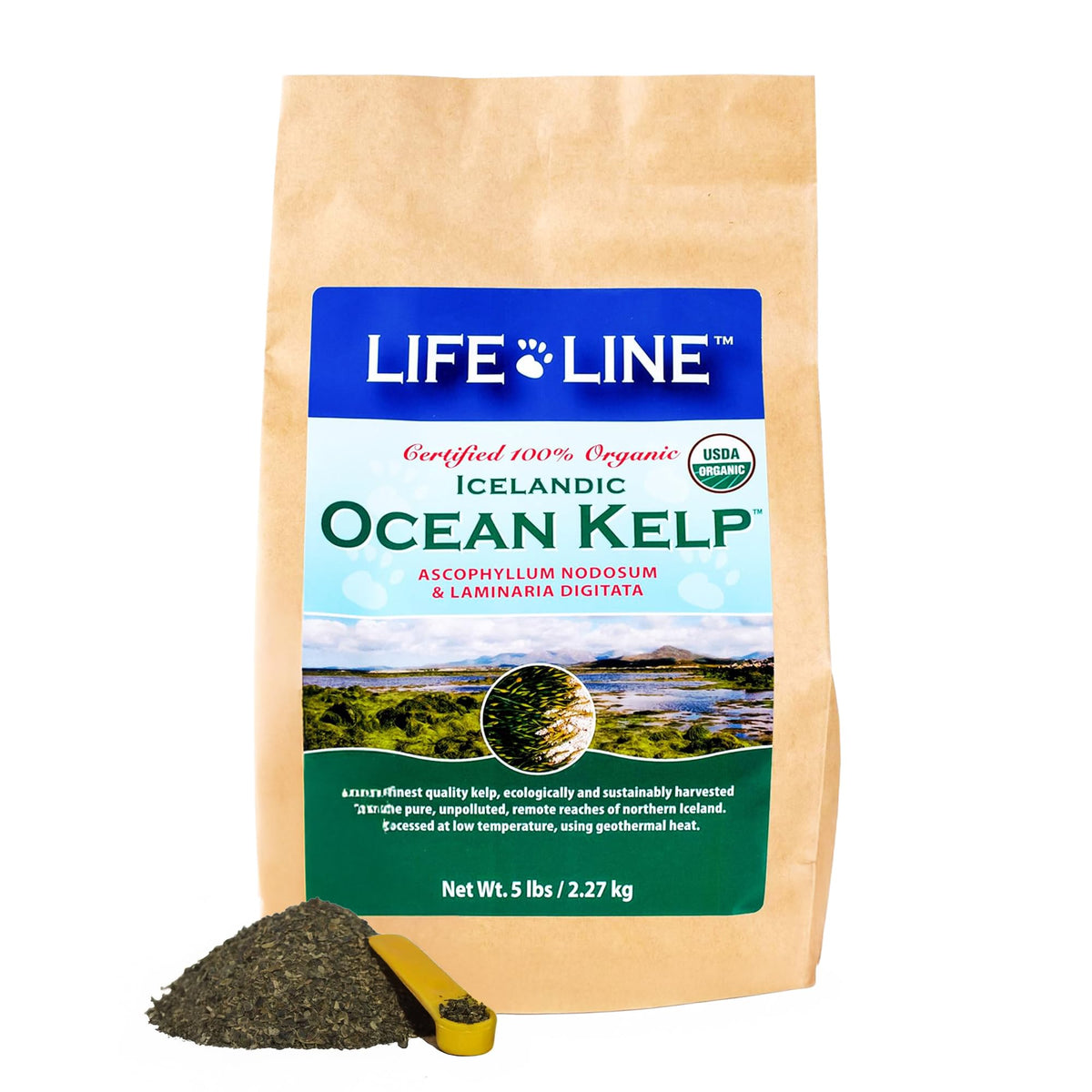 Life Line Organic Ocean Kelp para perros y gatos: botella visible para piel sana.