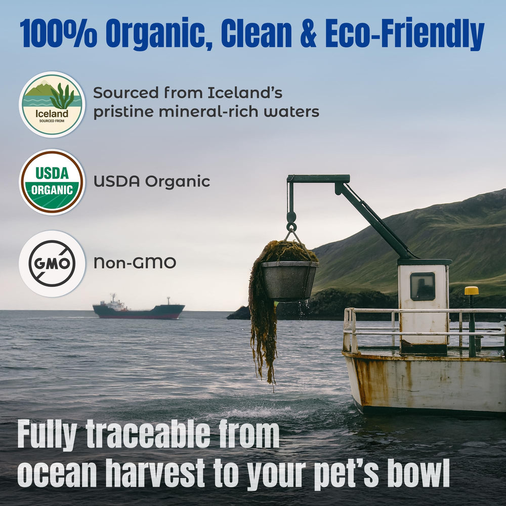 Life Line Organic Ocean Kelp para caballos y ganado en ración diaria.