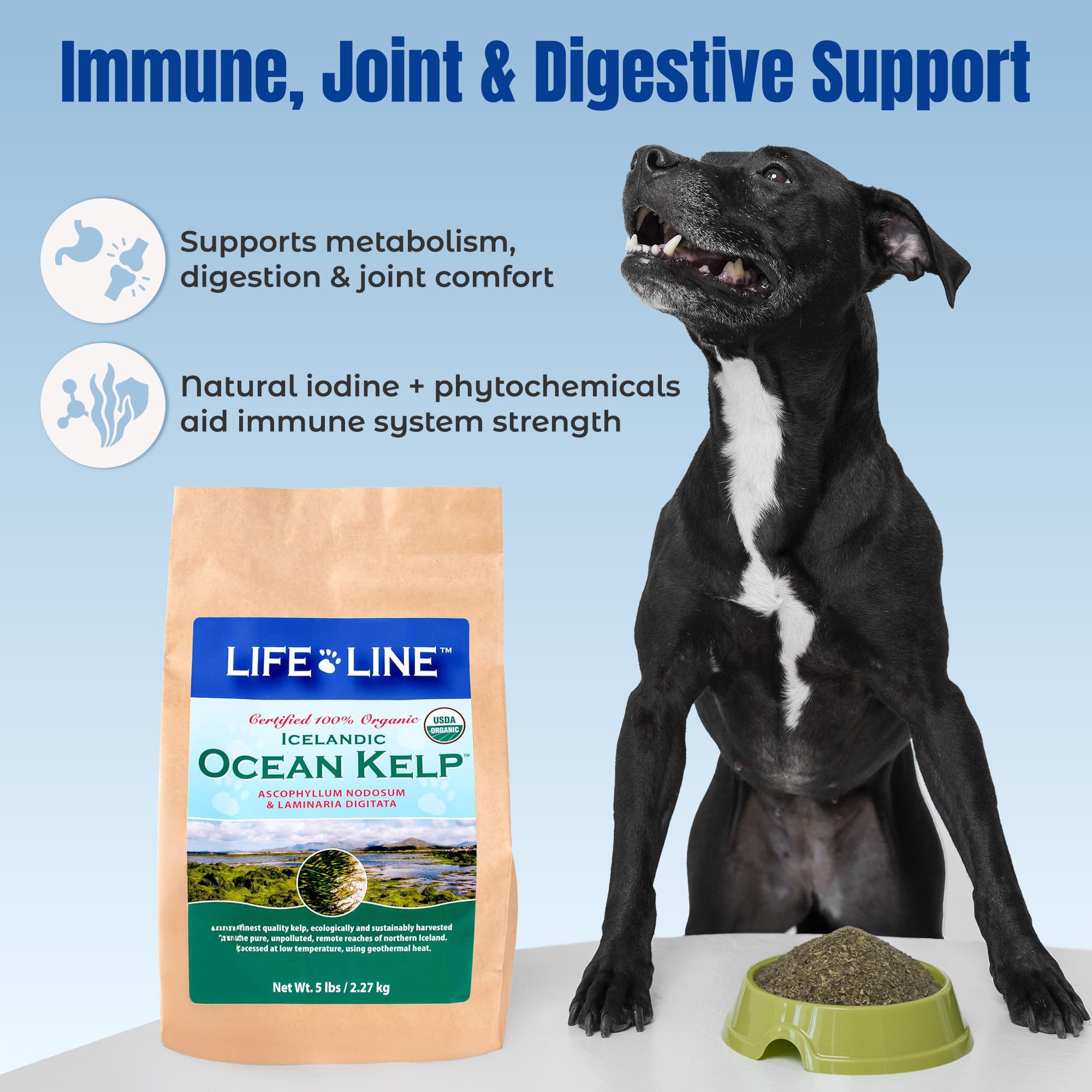 Life Line Organic Ocean Kelp: fuente natural de vitaminas y minerales para pelaje.