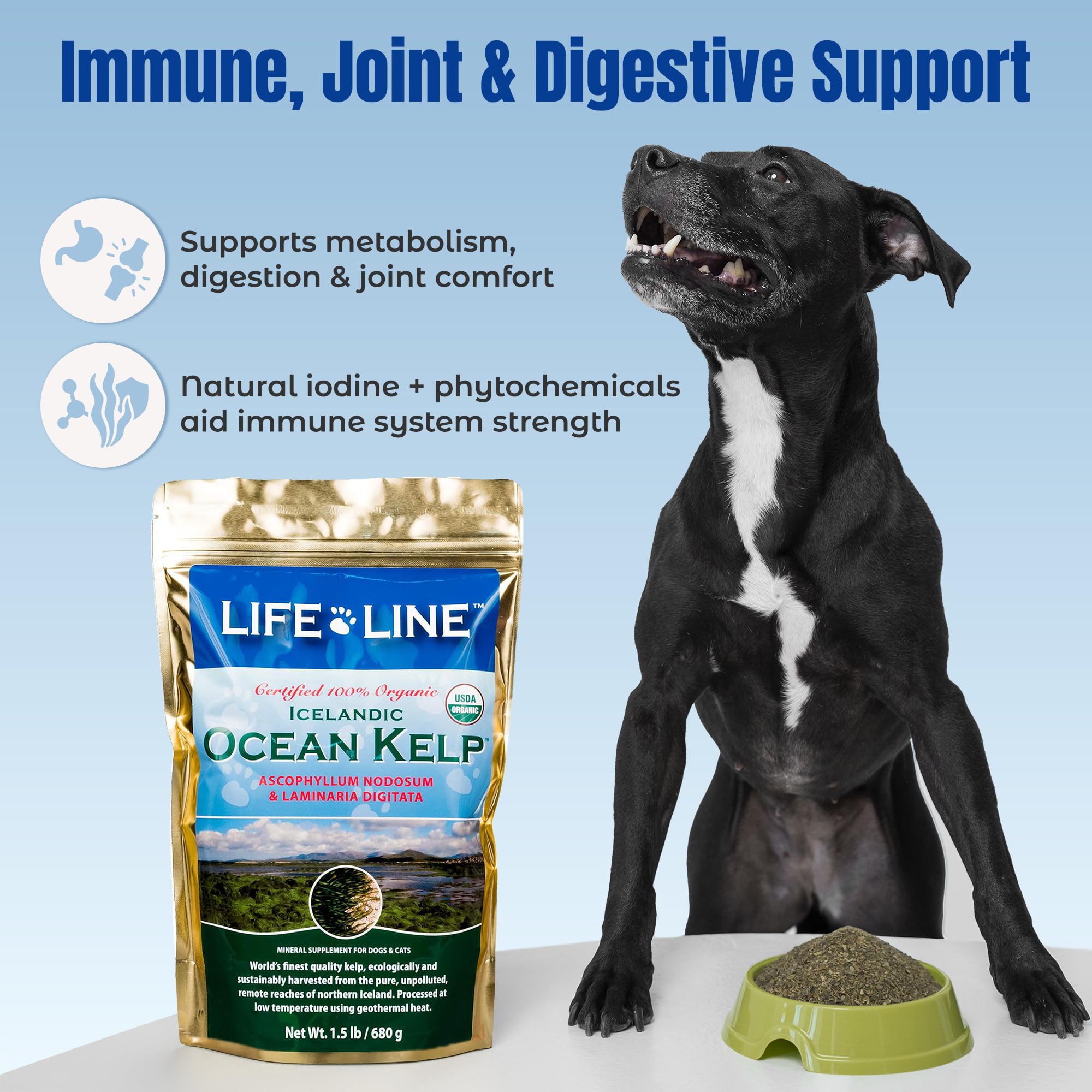 Life Line Organic Ocean Kelp para perros y gatos en mezcla diaria.