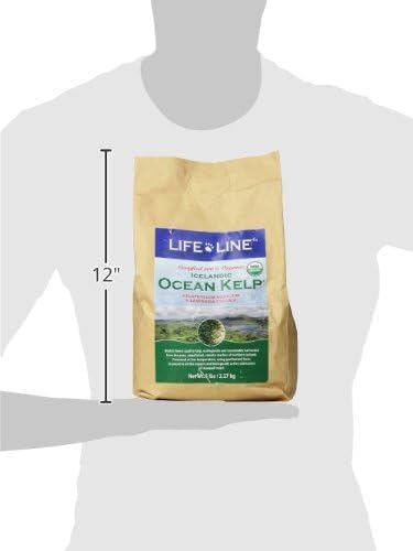 Life Line Organic Ocean Kelp: polvo mineral rico para piel y digestión suave.