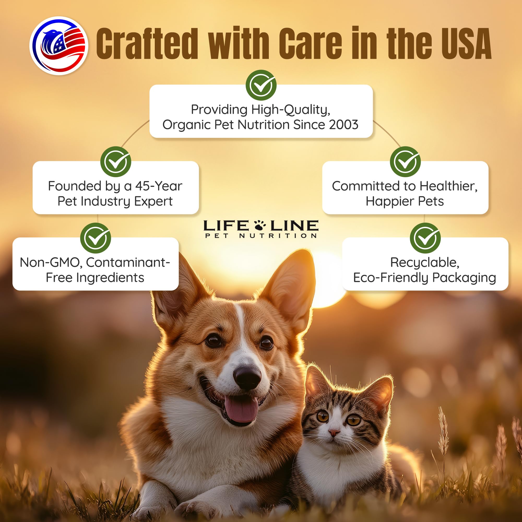 Life Line Wild Alaskan Salmon Oil favorece entrenamiento y aprendizaje en cachorros