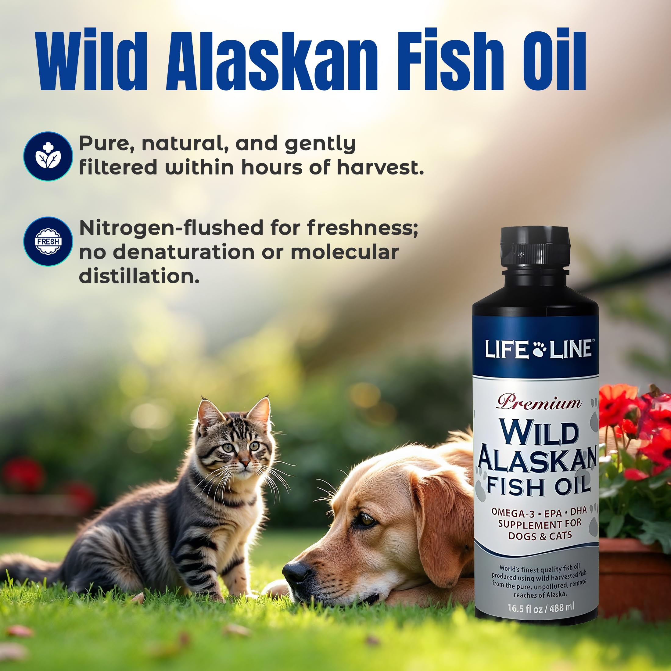 Life Line Pet Nutrition aceite Alaska vertido sobre comida: facilita ingesta sin olor.