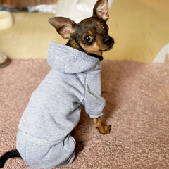 LifeWheel sudadera para perros, detalle cierre en el pecho, fácil de vestir