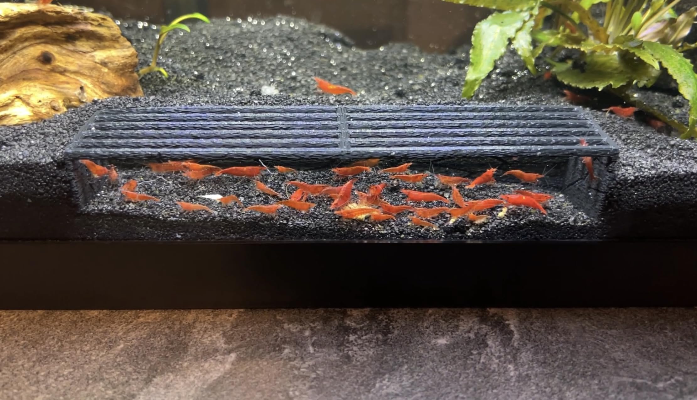 LifeWithPets Escondite para gambas en acuario negro, ideal para observación cercana.